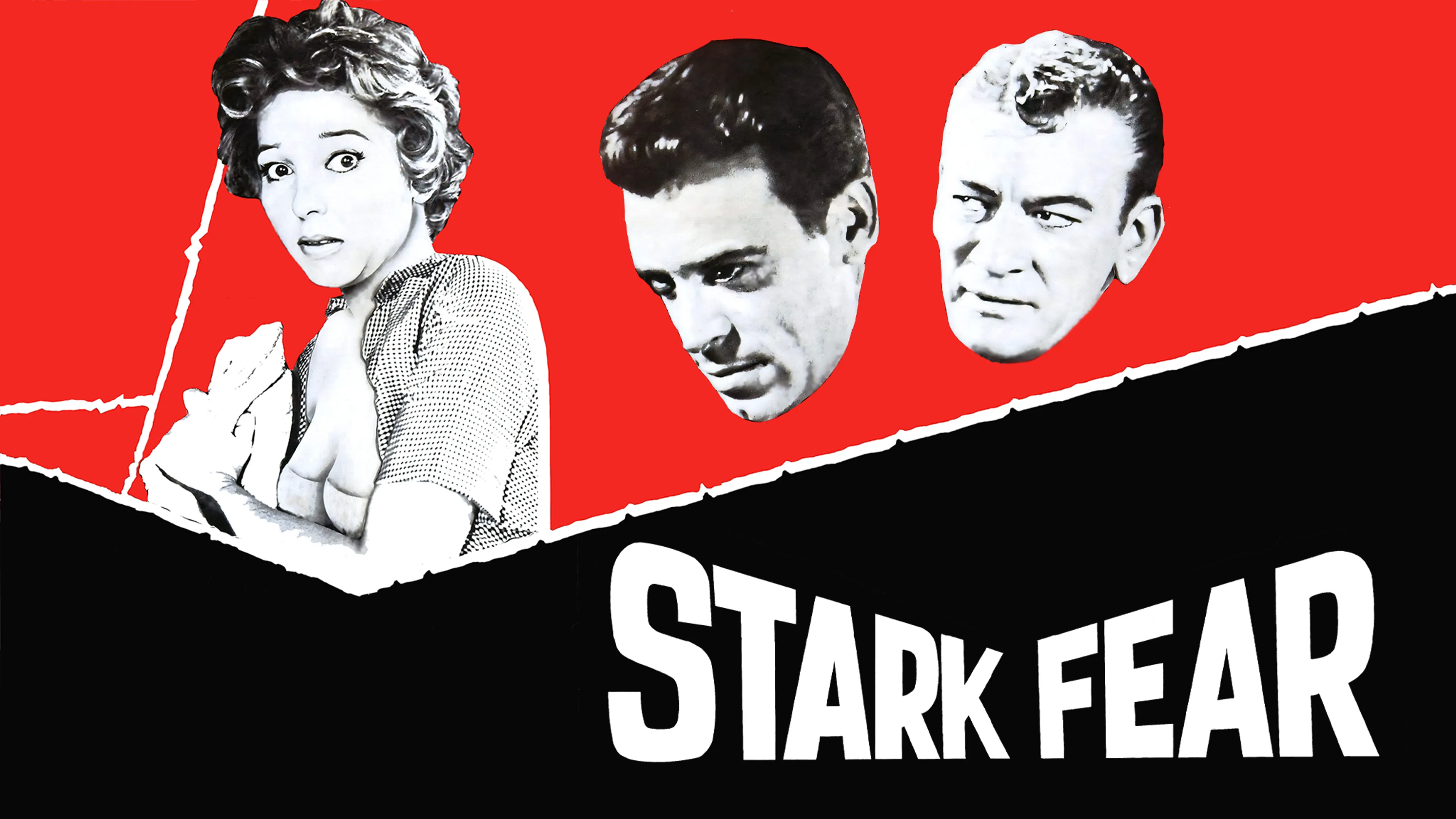 Stark Fear poster